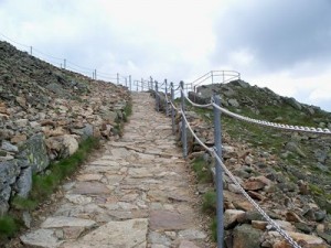 100_9763 (1)